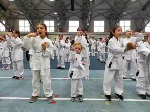 Osmangazi'de Gençlere Karate Eğitimi
