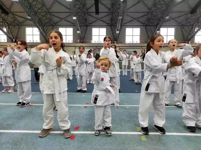 Osmangazi'de Gençlere Karate Eğitimi